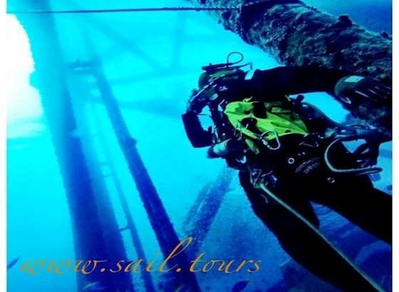 Picture of STEFANO  - PADI MASTER SCUBA DIVER TRAINER - SKIPPER