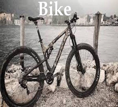 Picture for category BIKE