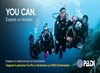 Image sur PADI Divemaster