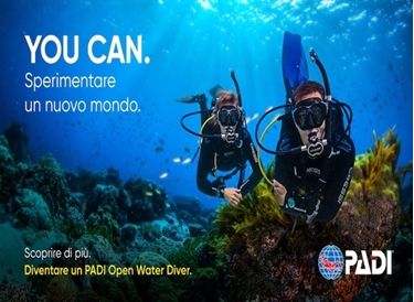 Bild von PADI Open Water Diver