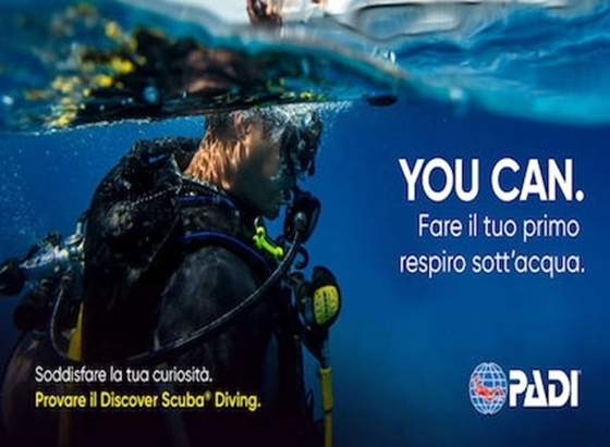 Picture of PADI Discover Scuba Diving