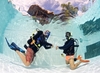 Bild von PADI Discover Scuba Diving