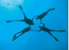 Imagen de PADI Discover Scuba Diving