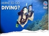 Picture of PADI Discover Scuba Diving