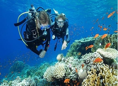 Picture of PADI Scuba Diver