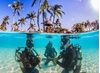 Picture of PADI Scuba Diver