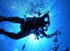 Bild von PADI Rescue Diver