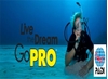 Picture of PADI Divemaster