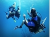 Image sur PADI Divemaster