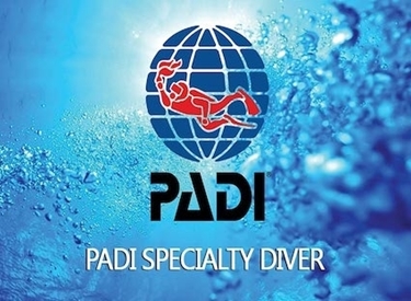 Image de PADI COURS DE SPÉCIALITÉ