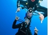 Picture of PADI SPECIALTY COURSES